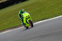 PJ-Motorsport-2019;anglesey-no-limits-trackday;anglesey-photographs;anglesey-trackday-photographs;enduro-digital-images;event-digital-images;eventdigitalimages;no-limits-trackdays;peter-wileman-photography;racing-digital-images;trac-mon;trackday-digital-images;trackday-photos;ty-croes